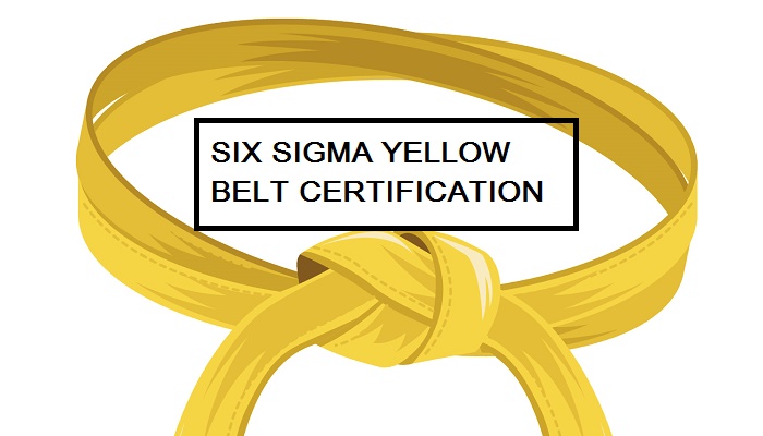 Lean Six Sigma Yellow Belt Certification: Your First Step Toward Operational Excellence