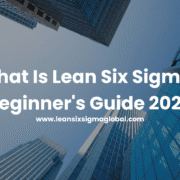 what is lean six sigma
