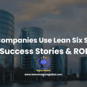 what companies use lean six sigma
