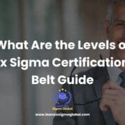 levels of six sigma certification