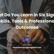 Learn in Six Sigma