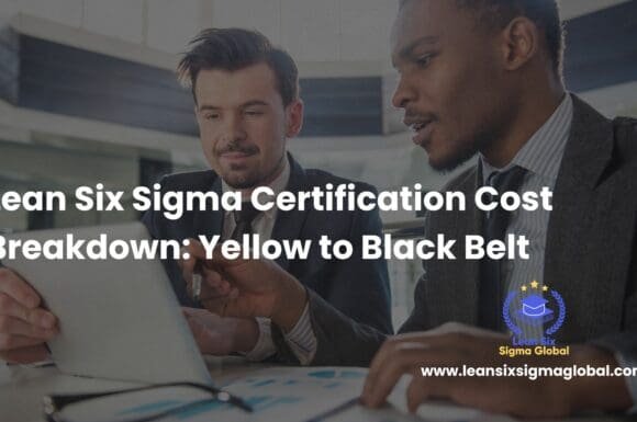 Lean Six Sigma Certification Cost Breakdown: Yellow to Black Belt