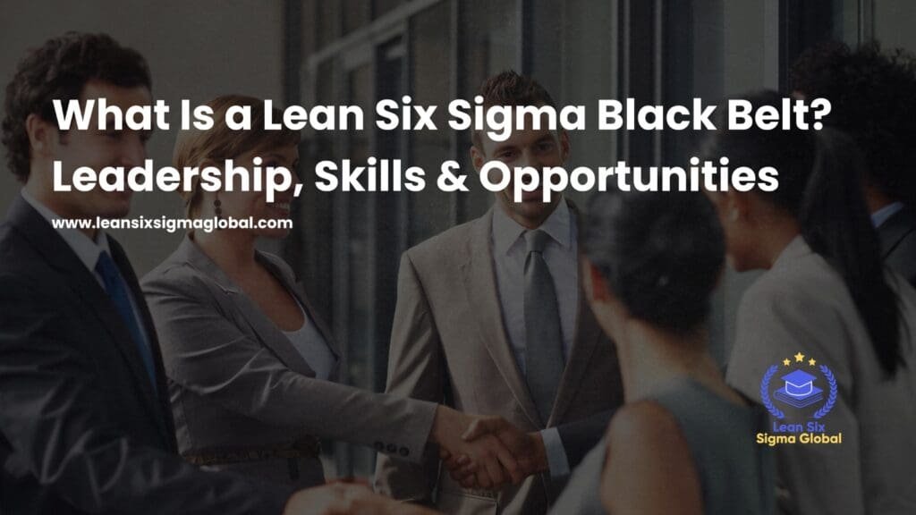 What Is Lean Six Sigma Black Belt? Roles & Career Guide