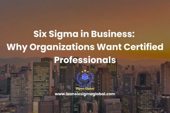 What is Six Sigma in Business: Why Organizations Want Certified Professionals
