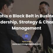 what is a black belt in business