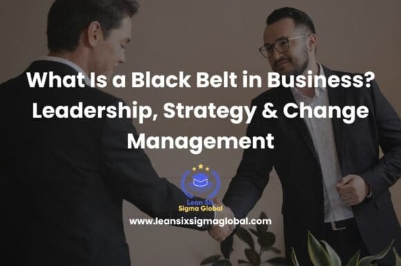 What Is a Black Belt in Business? Leadership, Strategy & Change Management