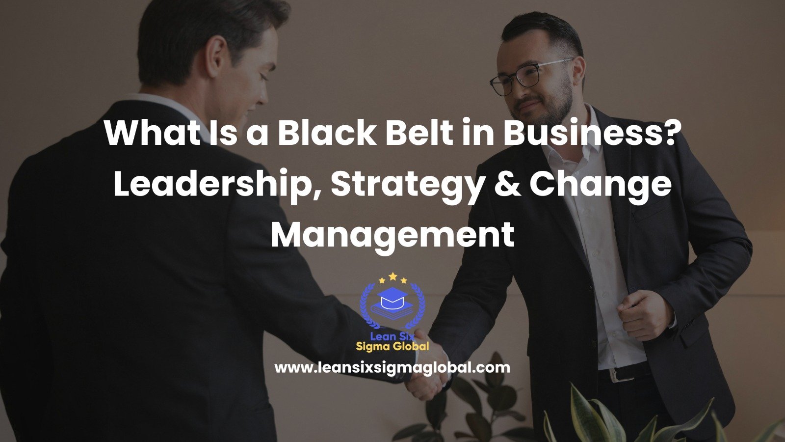 What Is a Black Belt in Business? Leadership, Strategy & Change Management
